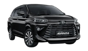 avanza-tss-1-300x175